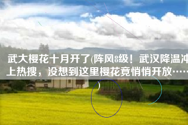 武大樱花十月开了(阵风8级！武汉降温冲上热搜，没想到这里樱花竟悄悄开放……)