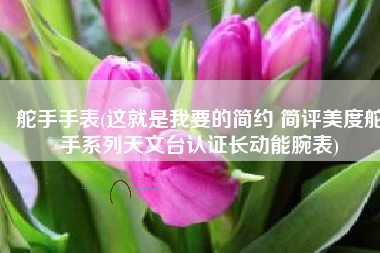 舵手手表(这就是我要的简约 简评美度舵手系列天文台认证长动能腕表)