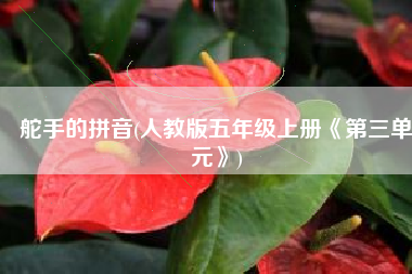 舵手的拼音(人教版五年级上册《第三单元》)