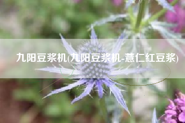 九阳豆浆机(九阳豆浆机-薏仁红豆浆)