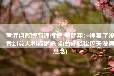黄健翔微博新浪微博(黄健翔：睡着了没看到意大利被绝杀 葡萄牙轻松过关没有悬念)