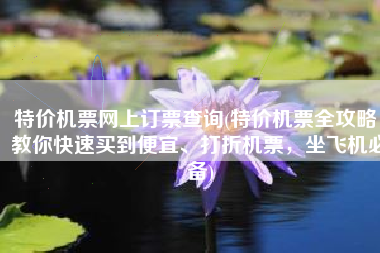 特价机票网上订票查询(特价机票全攻略，教你快速买到便宜、打折机票，坐飞机必备)