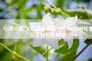 Tgi发动机(上汽蓝芯最新一代400TGI涡轮增压发动机大揭秘)
