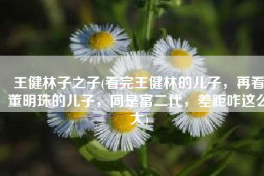 王健林子之子(看完王健林的儿子，再看董明珠的儿子，同是富二代，差距咋这么大)