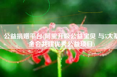 公益捐赠平台(阿里升级公益宝贝 与5大基金会共建优秀公益项目)