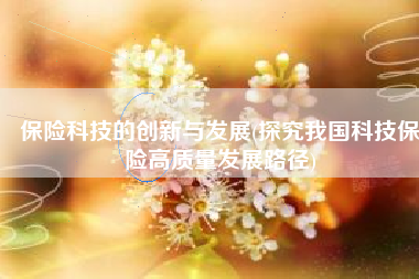 保险科技的创新与发展(探究我国科技保险高质量发展路径)