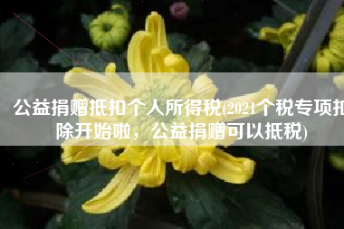 公益捐赠抵扣个人所得税(2021个税专项扣除开始啦，公益捐赠可以抵税)