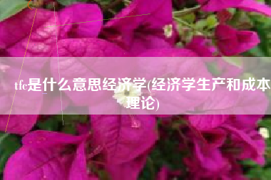 tfc是什么意思经济学(经济学生产和成本理论)