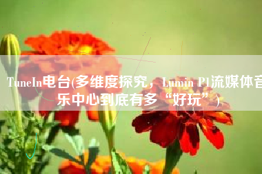 TuneIn电台(多维度探究，Lumin P1流媒体音乐中心到底有多“好玩”)