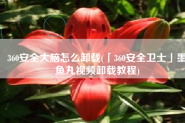 360安全大脑怎么卸载(「360安全卫士」墨鱼丸视频卸载教程)