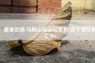 霍里街道(马鞍山花山区发布7名干部任前公示)