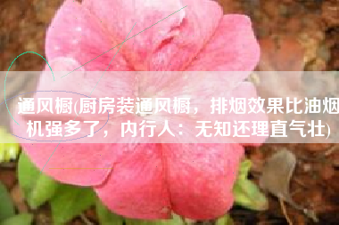 通风橱(厨房装通风橱，排烟效果比油烟机强多了，内行人：无知还理直气壮)