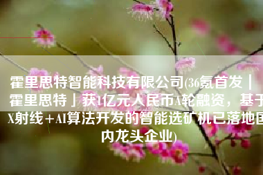 霍里思特智能科技有限公司(36氪首发｜「霍里思特」获1亿元人民币A轮融资，基于X射线+AI算法开发的智能选矿机已落地国内龙头企业)