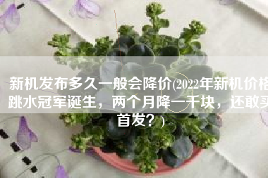 新机发布多久一般会降价(2022年新机价格跳水冠军诞生，两个月降一千块，还敢买首发？)