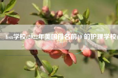 bsn学校(2022年美国排名前10 的护理学校)