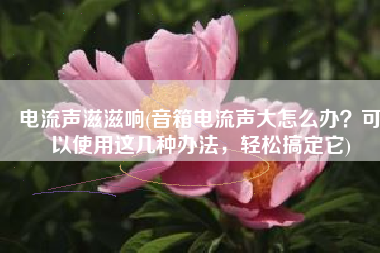 电流声滋滋响(音箱电流声大怎么办？可以使用这几种办法，轻松搞定它)