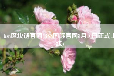 bsn区块链官网(BSN国际官网8月10日正式上线)