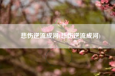 悲伤逆流成河(悲伤逆流成河)