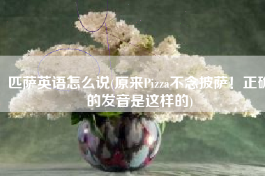 匹萨英语怎么说(原来Pizza不念披萨！正确的发音是这样的)