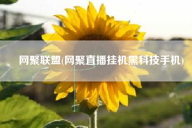 网聚联盟(网聚直播挂机黑科技手机)