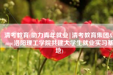 清考教育(助力青年就业|清考教育集团&洛阳理工学院共建大学生就业实习基地)