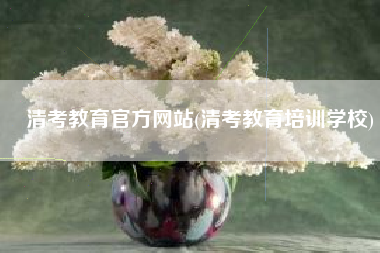 清考教育官方网站(清考教育培训学校)