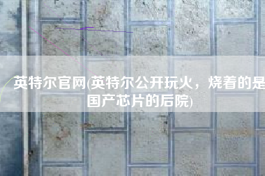 英特尔官网(英特尔公开玩火，烧着的是国产芯片的后院)