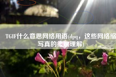 TGIF什么意思网络用语(dpq，这些网络缩写真的很难理解)