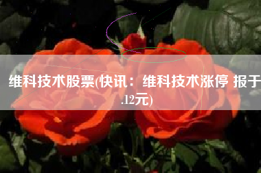维科技术股票(快讯：维科技术涨停 报于7.12元)