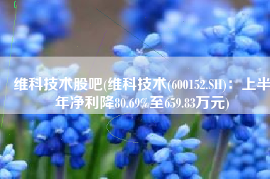维科技术股吧(维科技术(600152.SH)：上半年净利降80.69%至659.83万元)