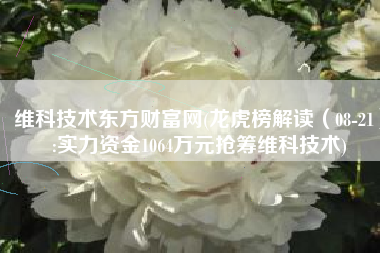 维科技术东方财富网(龙虎榜解读（08-21）:实力资金1064万元抢筹维科技术)