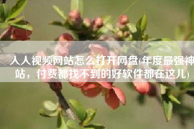 人人视频网站怎么打开网盘(年度最强神站，付费都找不到的好软件都在这儿)