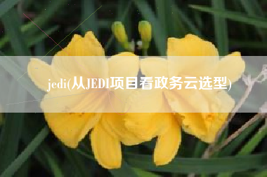 jedi(从JEDI项目看政务云选型)