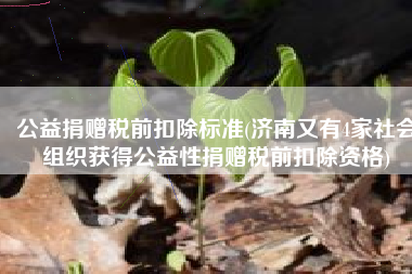 公益捐赠税前扣除标准(济南又有4家社会组织获得公益性捐赠税前扣除资格)