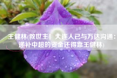 王健林(救世主！大连人已与万达沟通：递补中超的资金还得靠王健林)