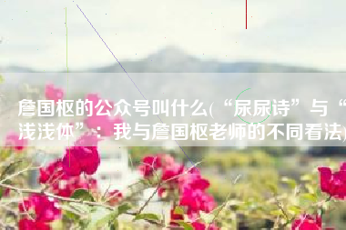 詹国枢的公众号叫什么(“尿尿诗”与“浅浅体”：我与詹国枢老师的不同看法)