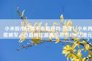 小米股市行情未来看好吗(热搜！小米再度破发，市值相比最高位蒸发4700亿港元)