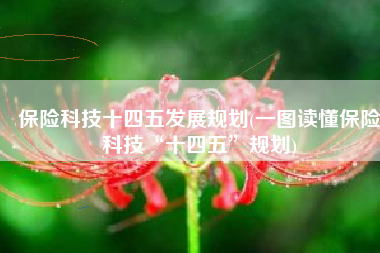 保险科技十四五发展规划(一图读懂保险科技“十四五”规划)