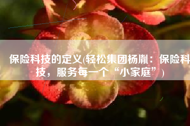 保险科技的定义(轻松集团杨胤：保险科技，服务每一个“小家庭”)
