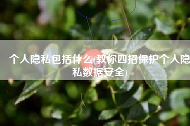 个人隐私包括什么(教你四招保护个人隐私数据安全)