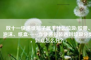 双十一快递纸箱子属于什么垃圾(胶带、泡沫、纸盒……当快递包装遇到垃圾分类，到底怎么分？)