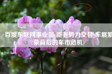 百度车联网事业部(新老势力交替 车展繁荣背后的车市危机)