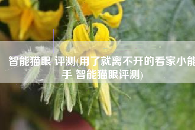 智能猫眼 评测(用了就离不开的看家小能手 智能猫眼评测)