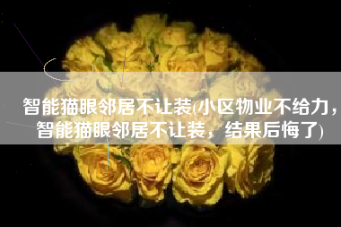 智能猫眼邻居不让装(小区物业不给力，智能猫眼邻居不让装，结果后悔了)