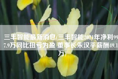 三丰智能最新消息(三丰智能2021年净利9977.9万同比扭亏为盈 董事长朱汉平薪酬49.15万)