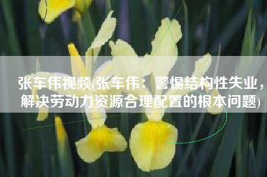 张车伟视频(张车伟：警惕结构性失业，解决劳动力资源合理配置的根本问题)