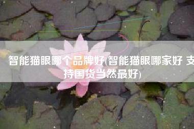 智能猫眼哪个品牌好(智能猫眼哪家好 支持国货当然最好)