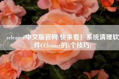 ccleaner中文版官网(快来看！系统清理软件CCleaner的5个技巧)