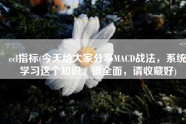 ccl指标(今天给大家分享MACD战法，系统学习这个知识。很全面，请收藏好)