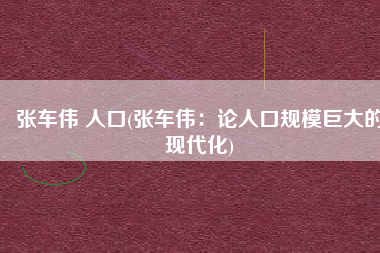 张车伟 人口(张车伟：论人口规模巨大的现代化)